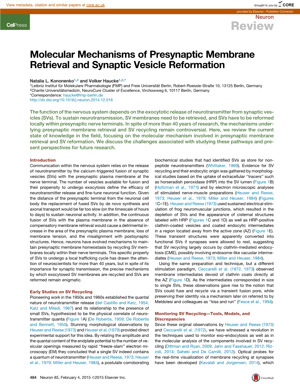 Molecular Mechanisms of Presynaptic Membrane Retrieval and Synaptic Vesicle Reformation