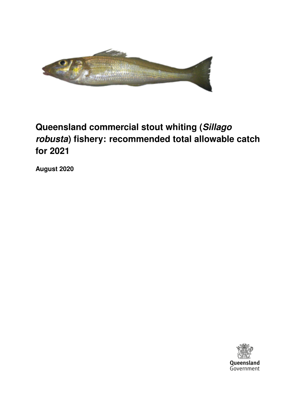 Queensland Commercial Stout Whiting (Sillago Robusta) Fishery