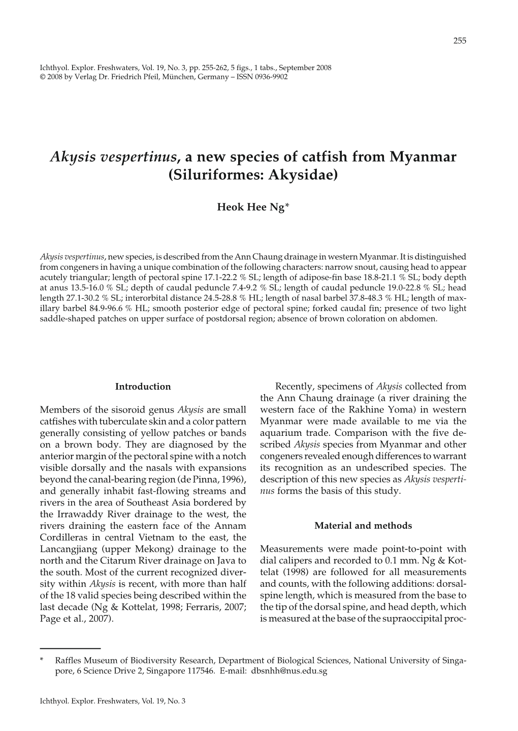 Akysis Vespertinus, a New Species of Catfish from Myanmar (Siluriformes: Akysidae)