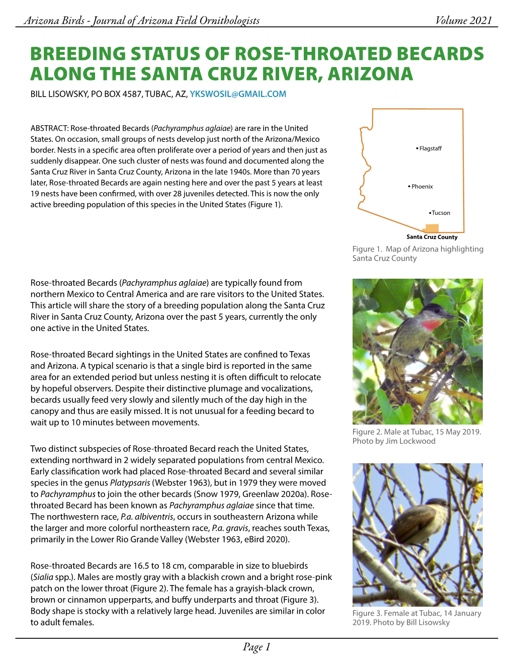 Breeding Status of Rose-Throated Becards Along the Santa Cruz River, Arizona