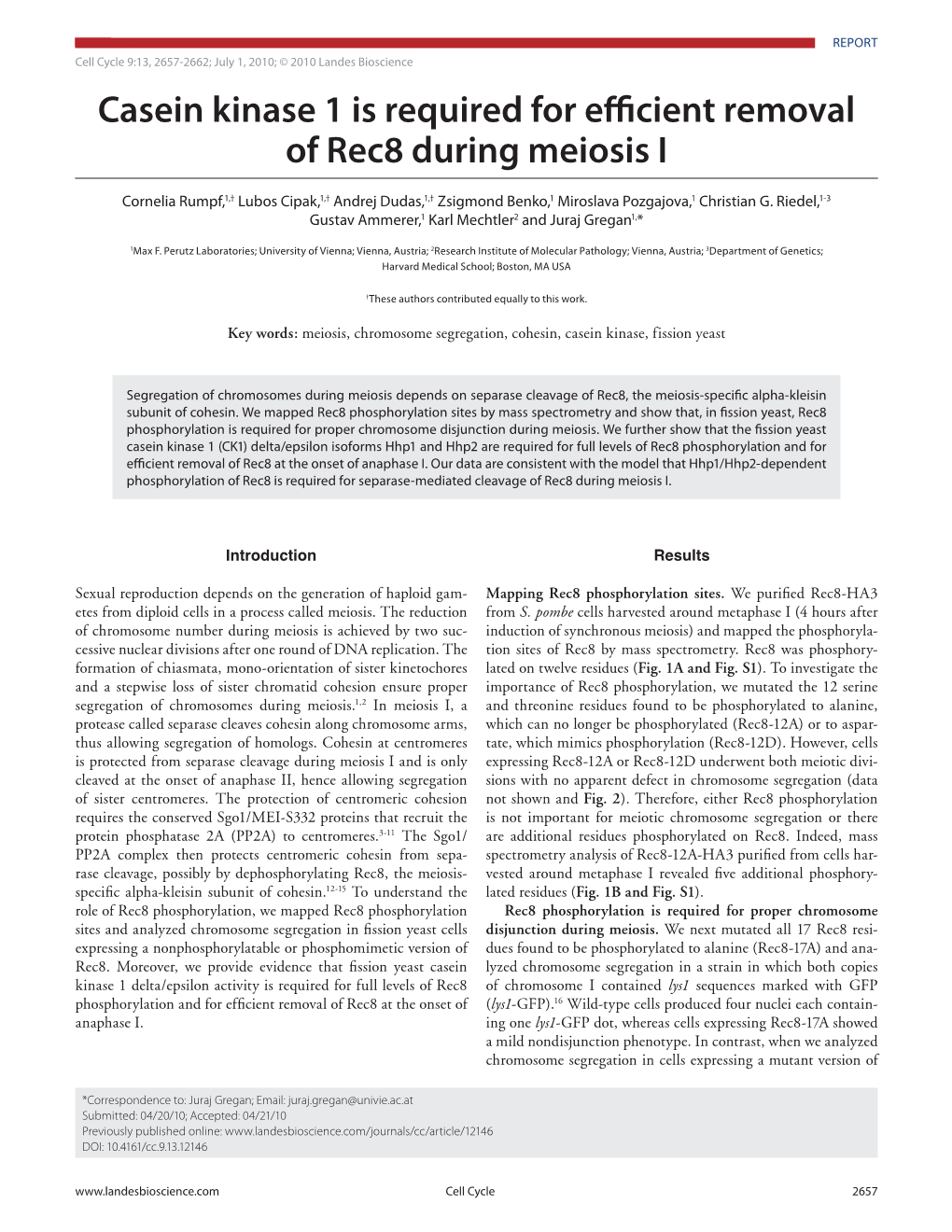 Casein Kinase 1 Is Required for Efficient Removal of Rec8 During Meiosis I