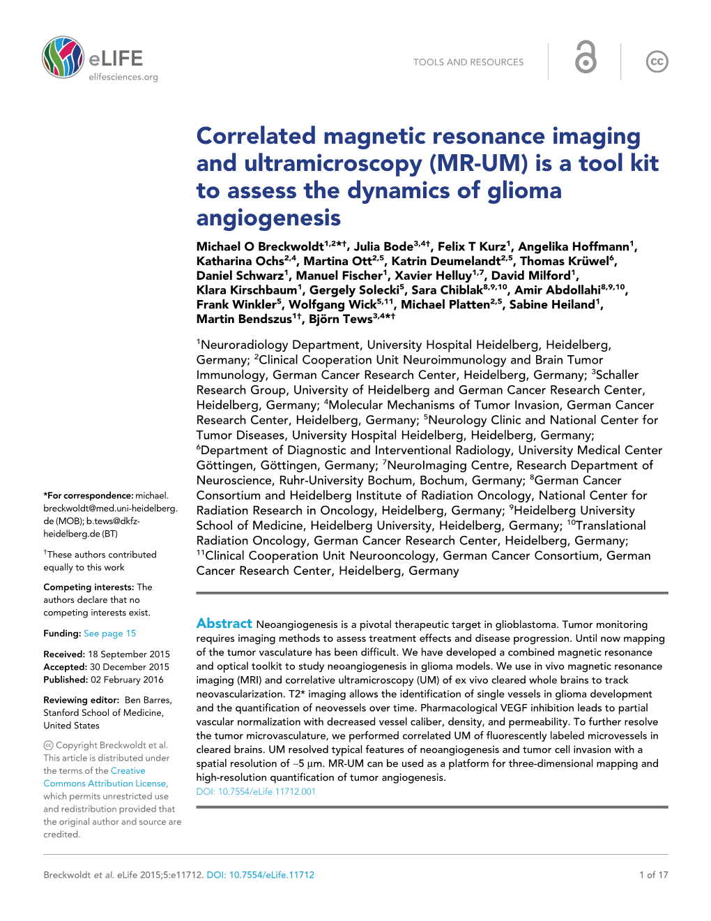 Is a Tool Kit to Assess the Dynamics of Glioma