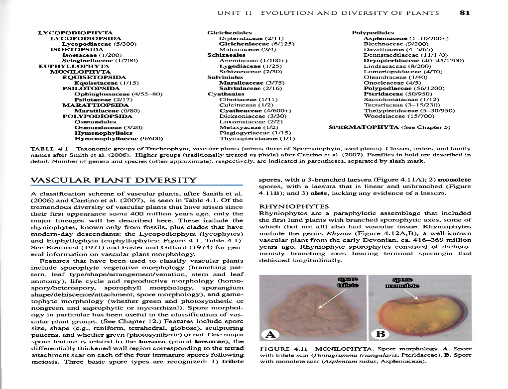 81 Vascular Plant Diversity