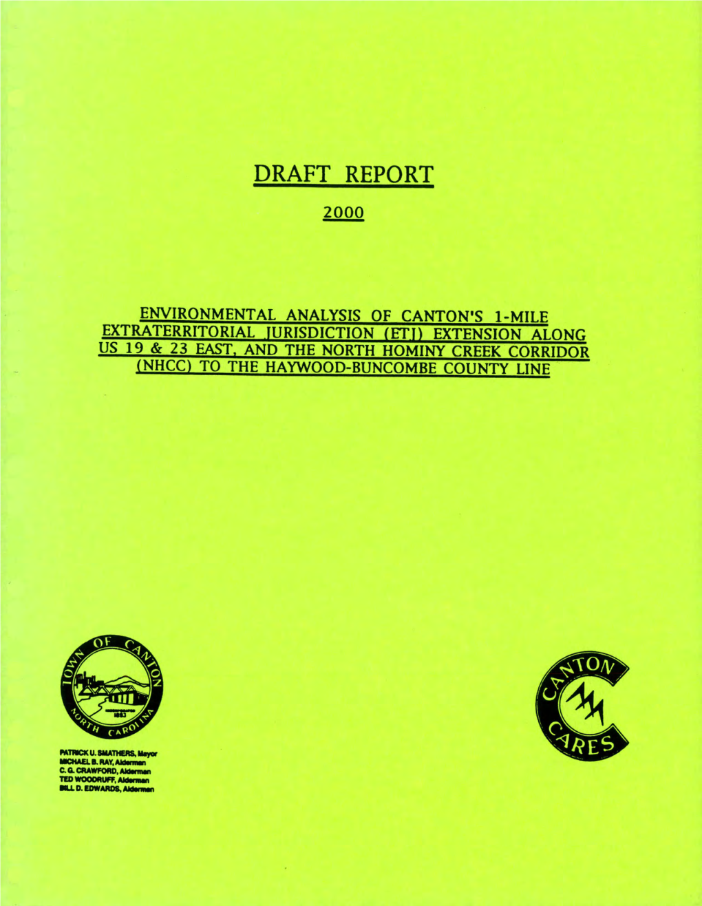 Draft Report 2000