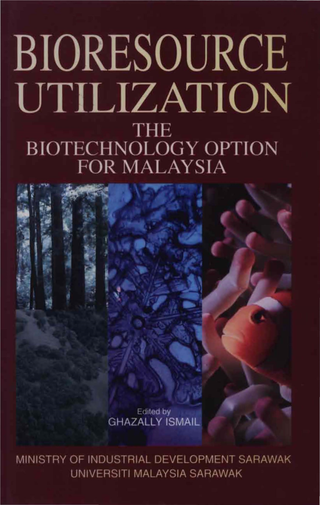 Bioresource Utilization the Biotechnology Option for Malaysia