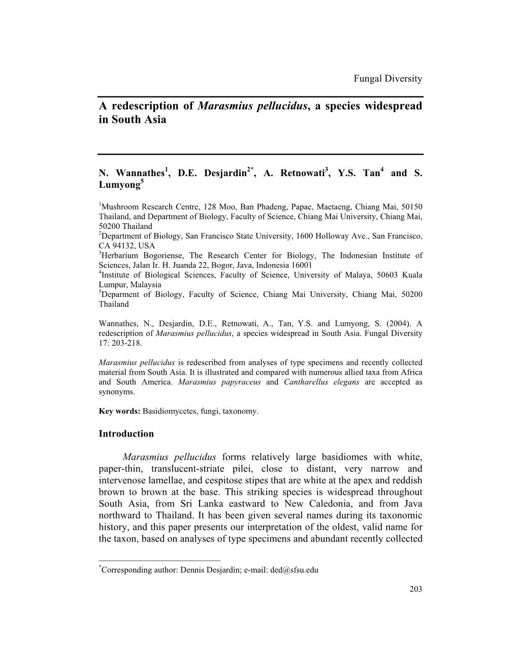 A Redescription of Marasmius Pellucidus , a Species Widespread