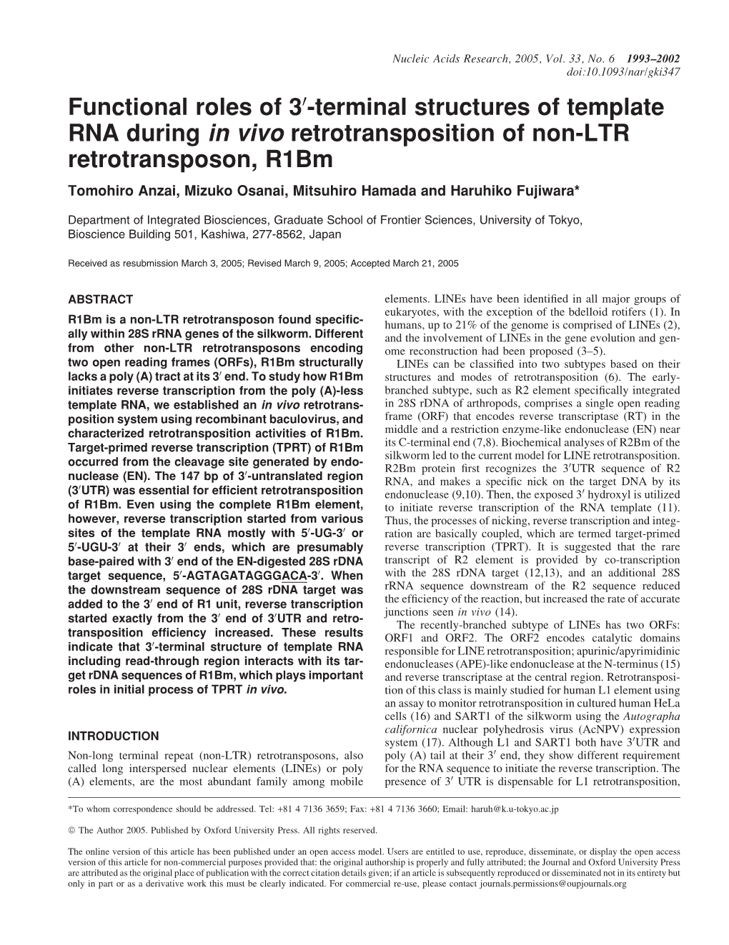 Functional Roles of 3 0-Terminal Structures of Template RNA During