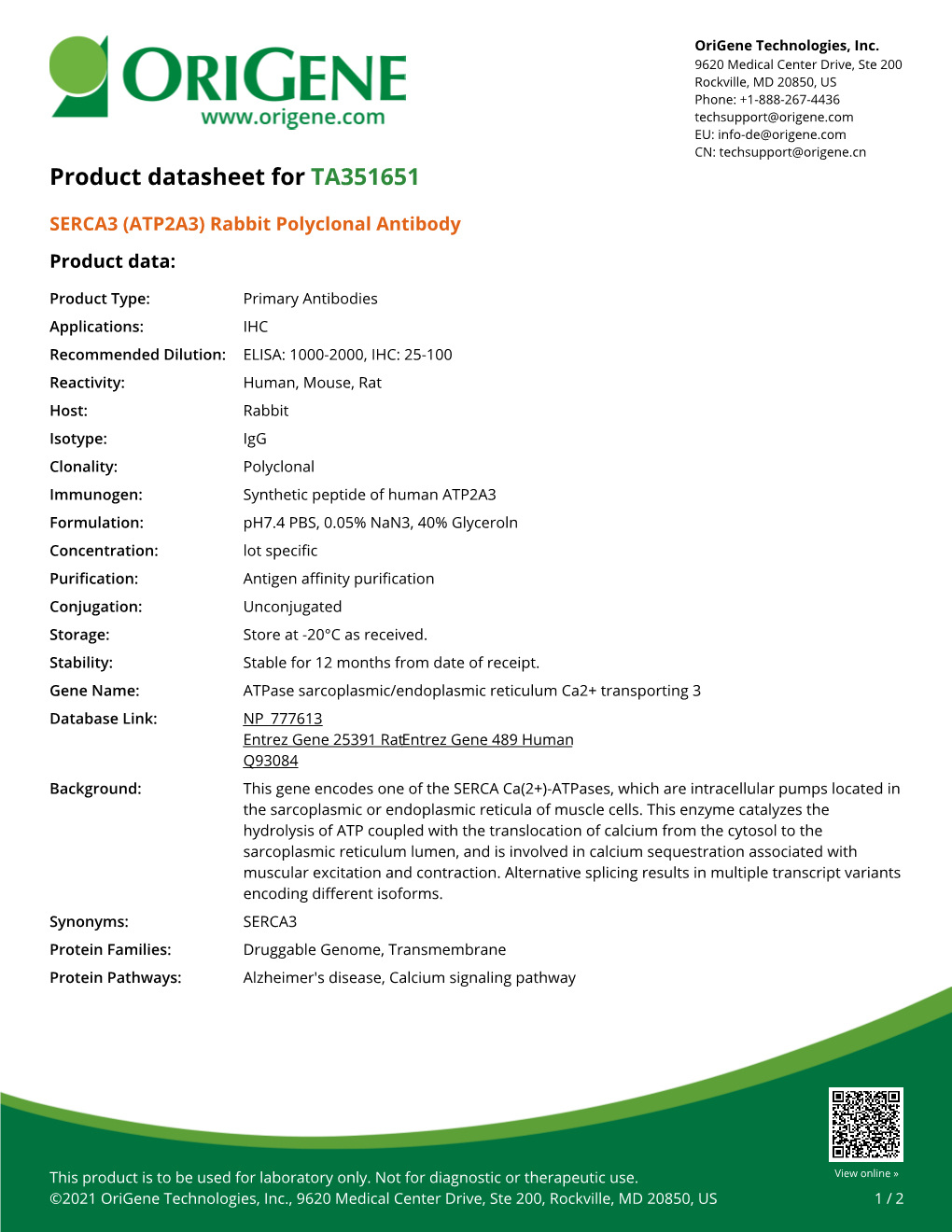 SERCA3 (ATP2A3) Rabbit Polyclonal Antibody – TA351651 | Origene