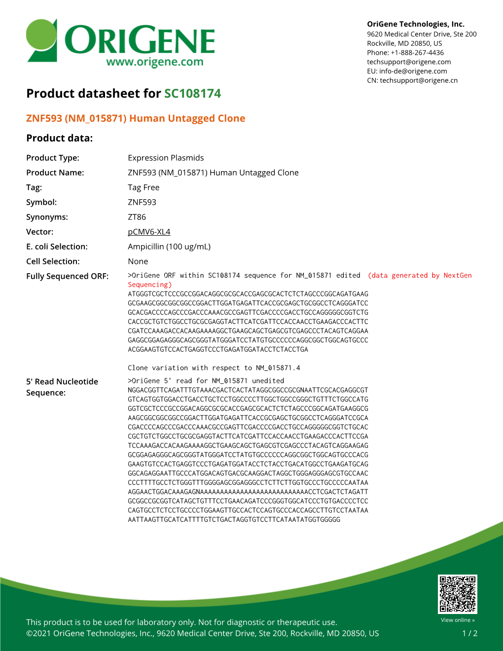 ZNF593 (NM 015871) Human Untagged Clone – SC108174