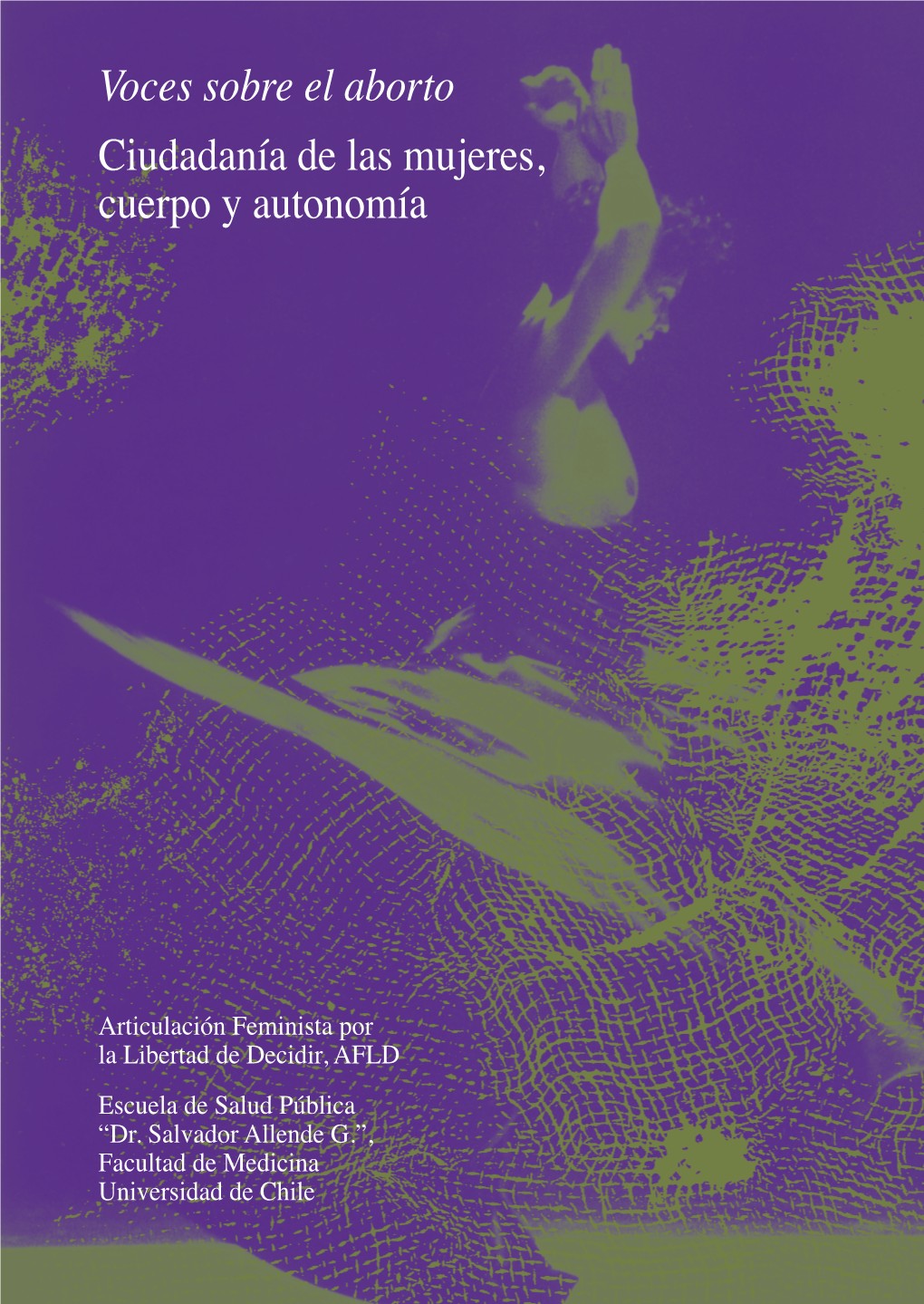 Voces Sobre El Aborto Ciudadanía De Las Mujeres, Cuerpo Y Autonomía