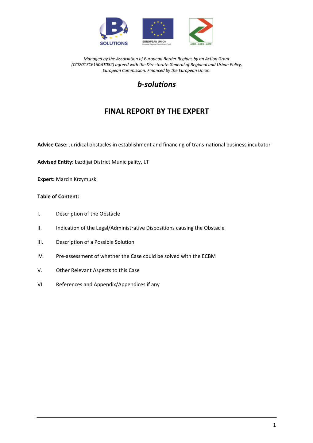 B-Solutions FINAL REPORT by the EXPERT