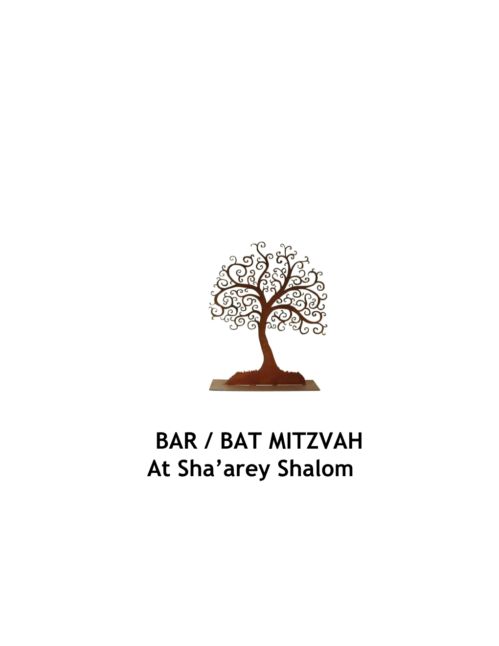 Bar / Bat Mitzvah Booklet