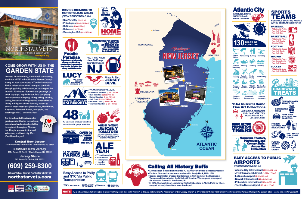 NSV NJ Infographic Sheet