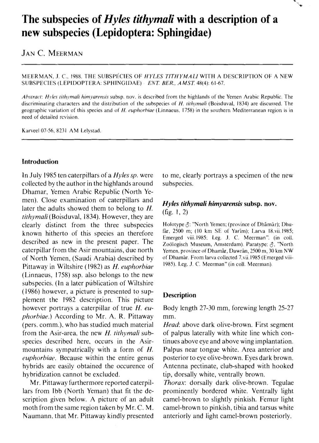 The Subspecies of Hyles Tithymali with a Description of a New Subspecies (Lepidoptera: Sphingidae)