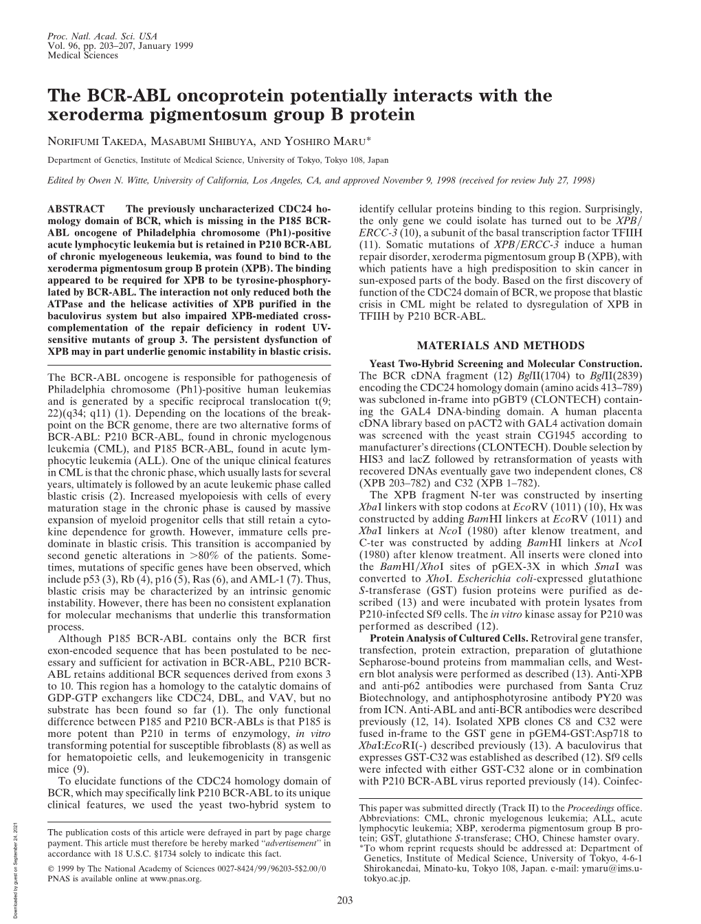 The BCR-ABL Oncoprotein Potentially Interacts with the Xeroderma Pigmentosum Group B Protein