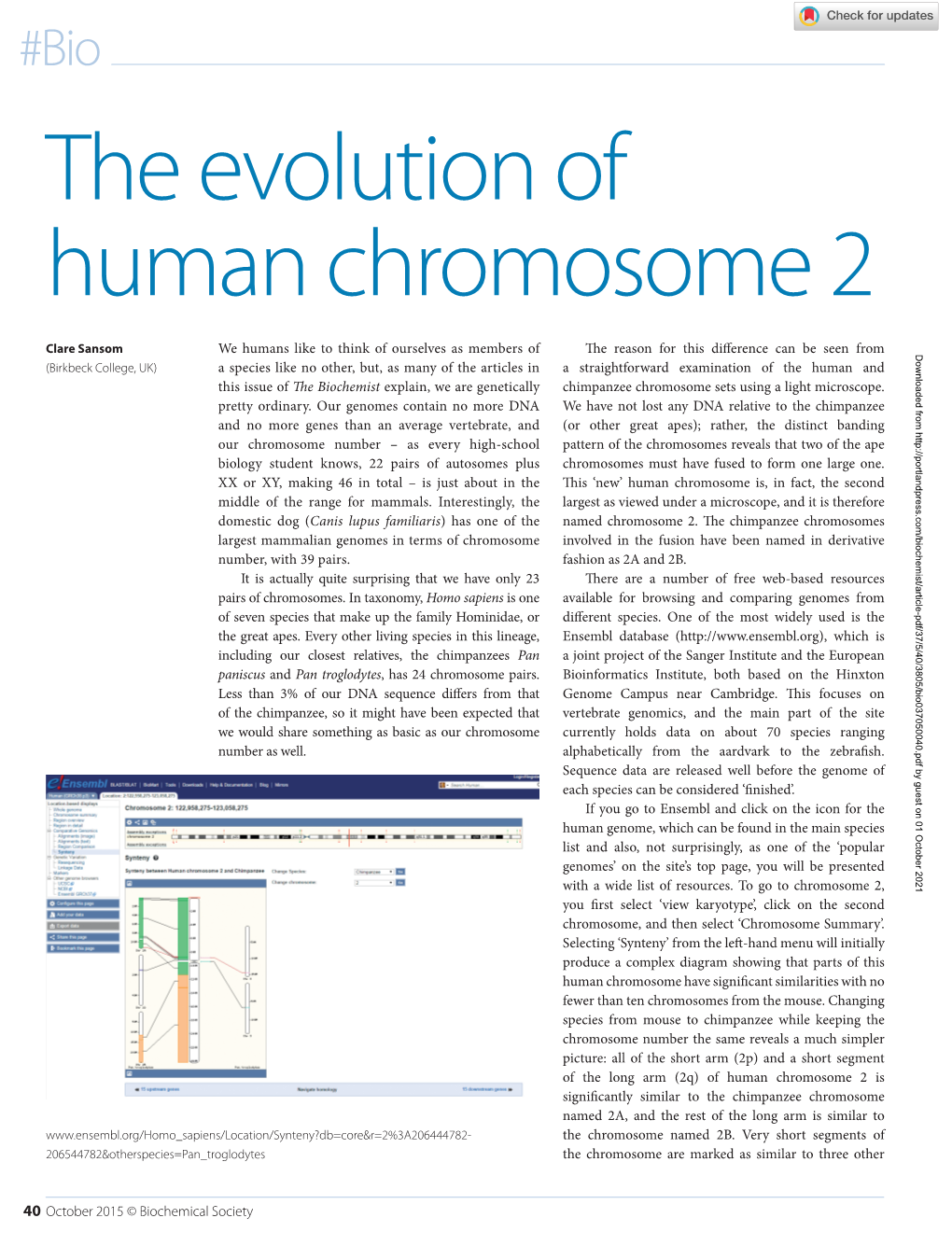 The Evolution of Human Chromosome 2