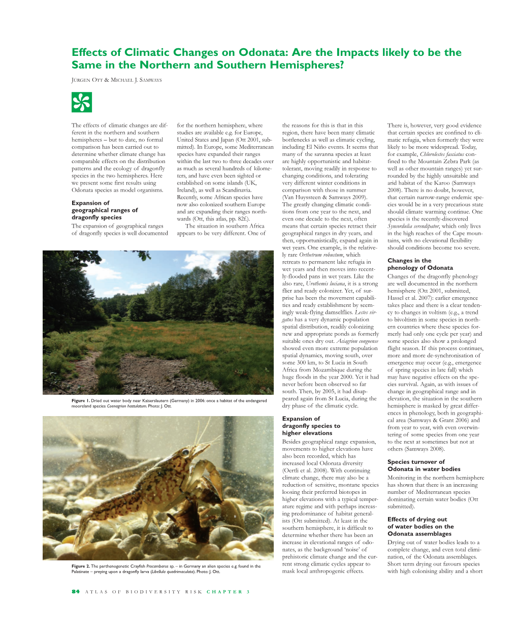 Effects of Climatic Changes on Odonata: Are the Impacts Likely to Be the Same in the Northern and Southern Hemispheres? JÜRGEN OTT & MICHAEL J