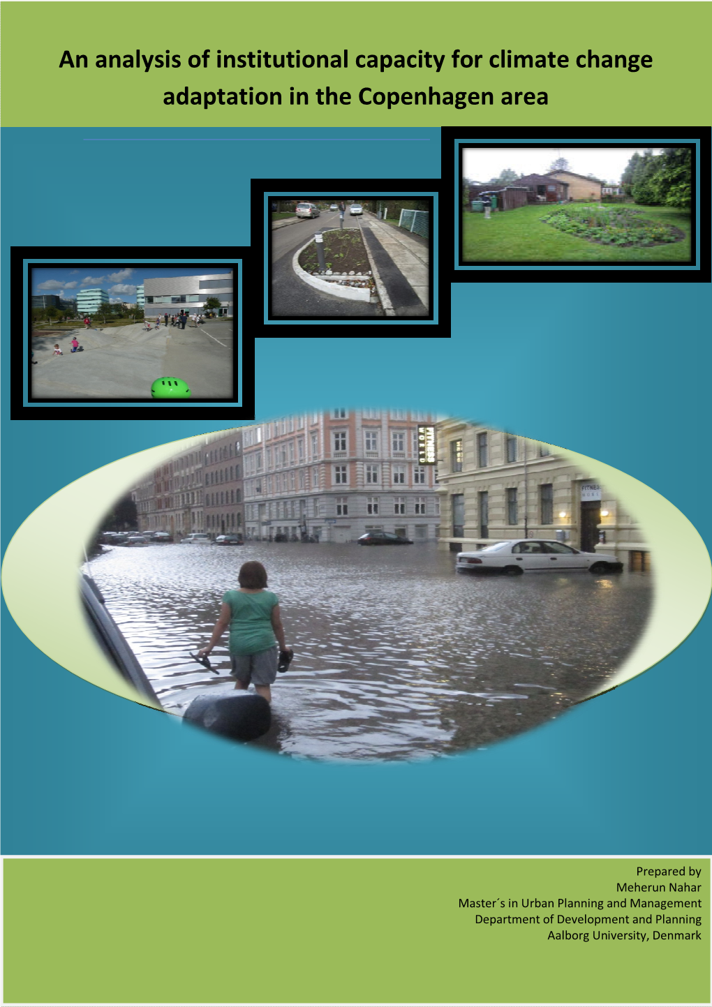An Analysis of Institutional Capacity for Climate Change Adaptation in the Copenhagen Area