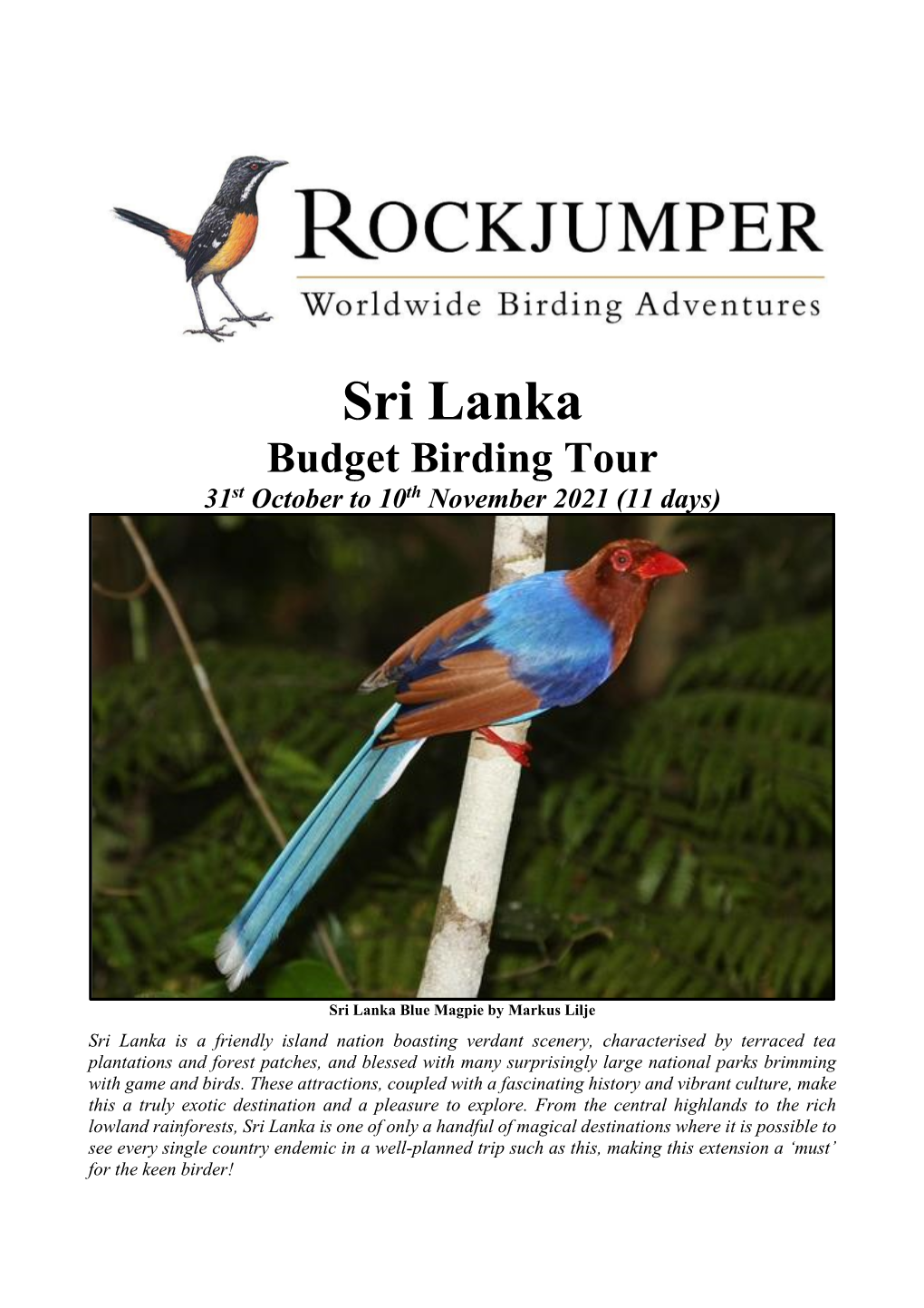 Sri Lanka Budget Birding Tour 31St October to 10Th November 2021 (11 Days)