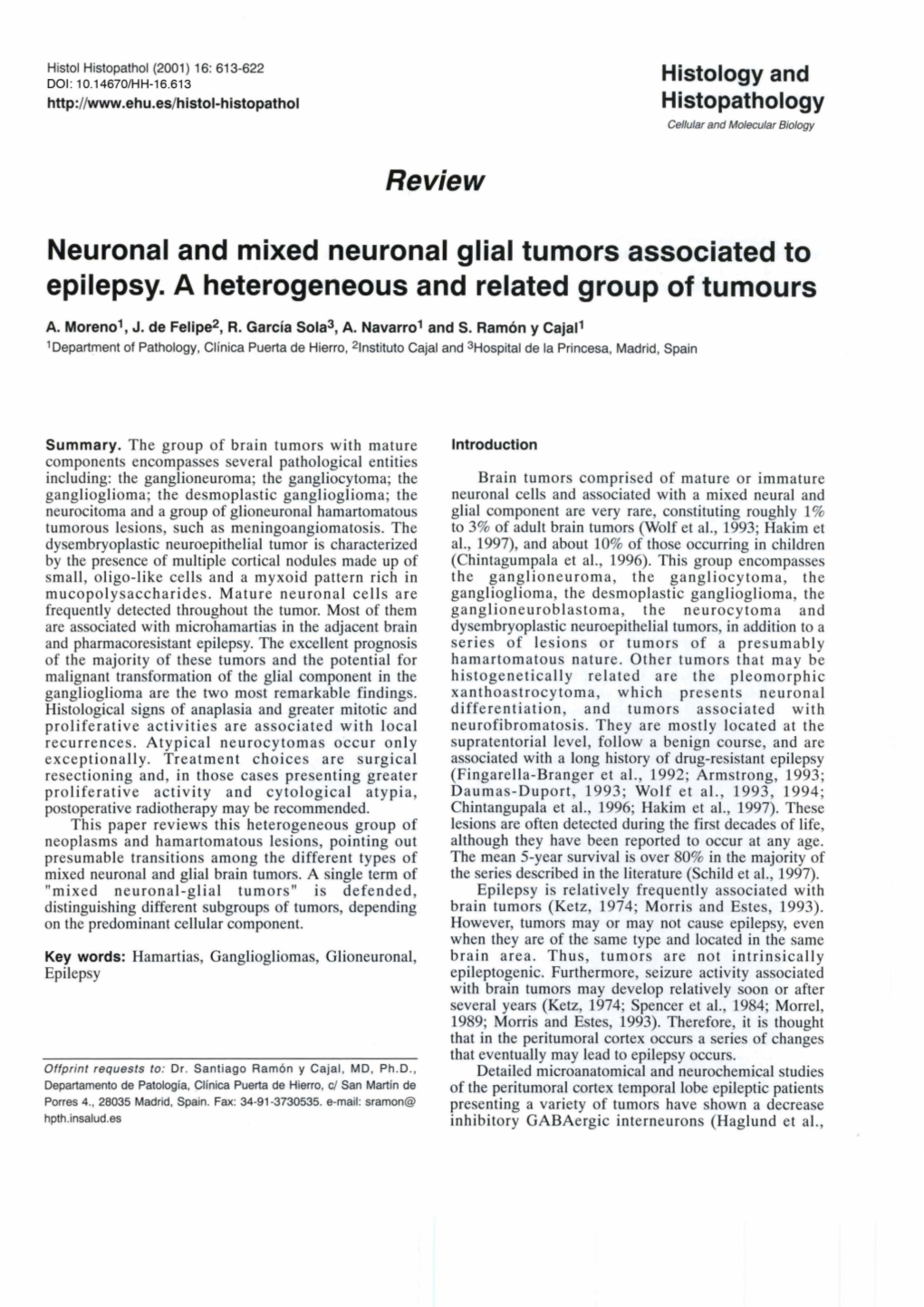 Review Neuronal and Mixed Neuronal Glial Tumors Associated to Epilepsy