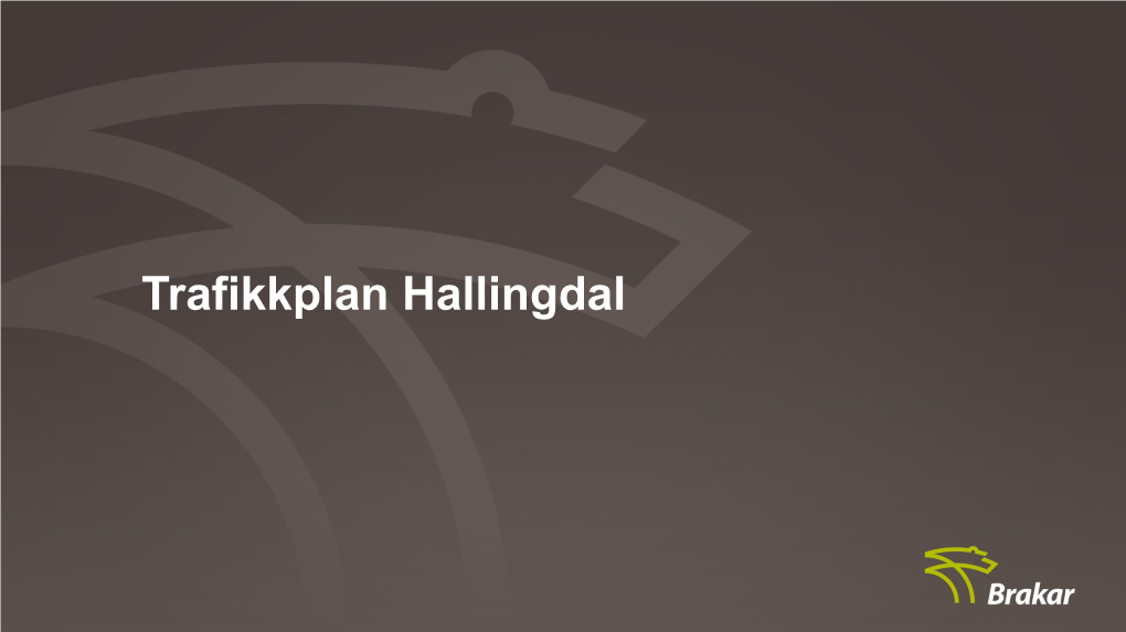 Trafikkplan Hallingdal Brakar