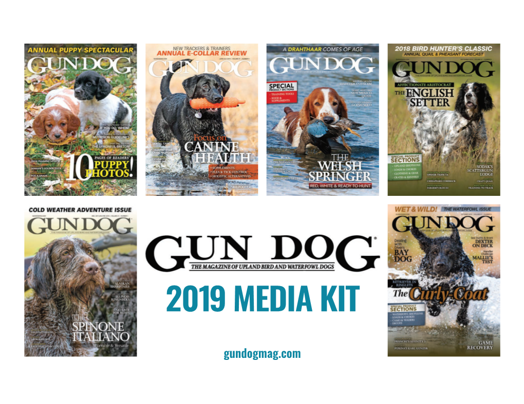 2019 Media Kit