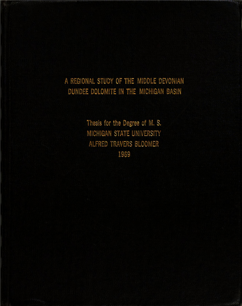 A REGEONAL STUDY of the MIDDLE DEVONKAN DUNDEE DOLOME'te in the Michigan Basln