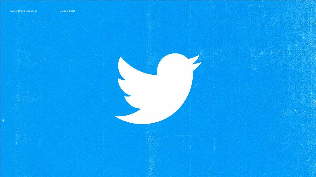 Twitter External Brand Guidelines