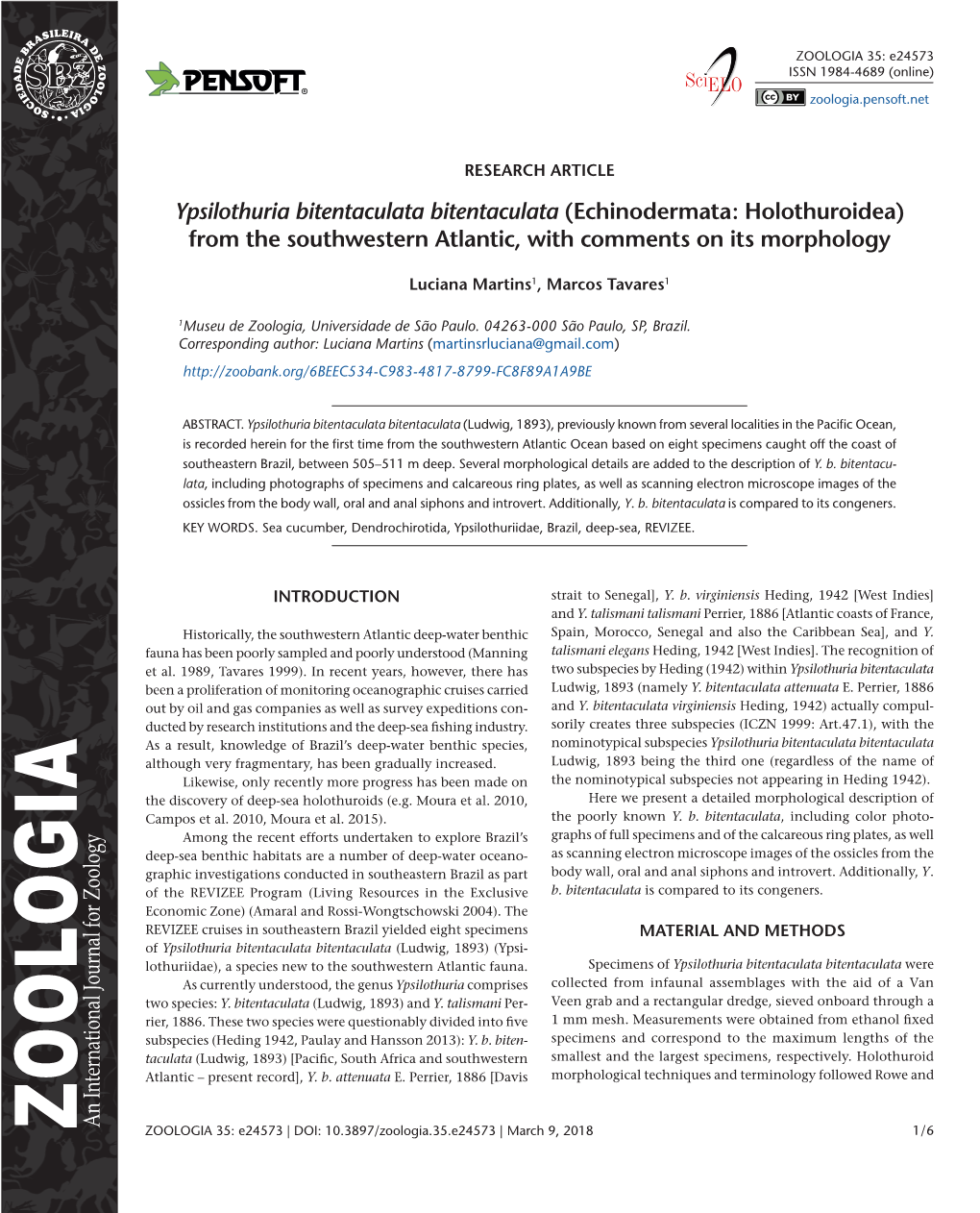 Echinodermata: Holothuroidea) from the Southwestern Atlantic, with Comments on Its Morphology