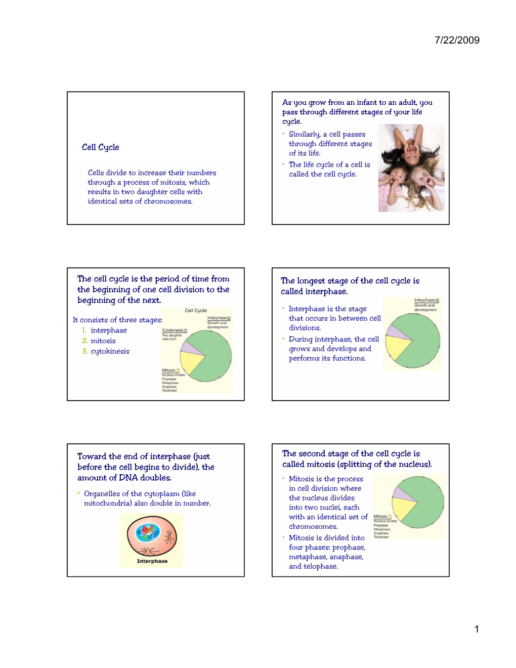 Cell Cycle the Cell Cycle Is the Period of Time from the Beginning of One