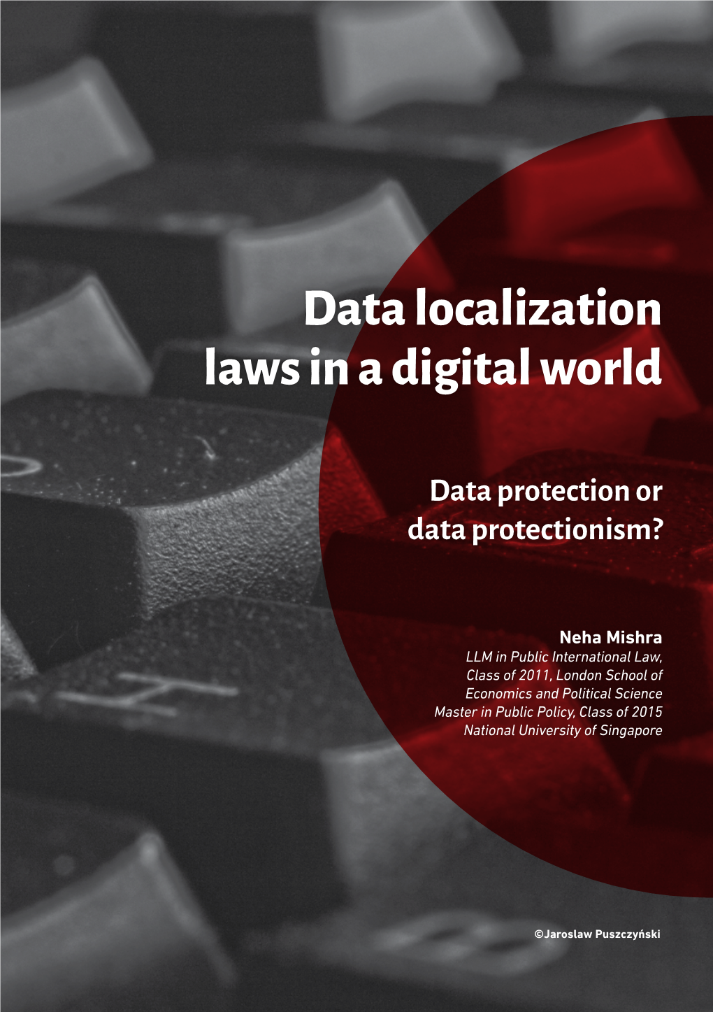 Data Localization Laws in a Digital World