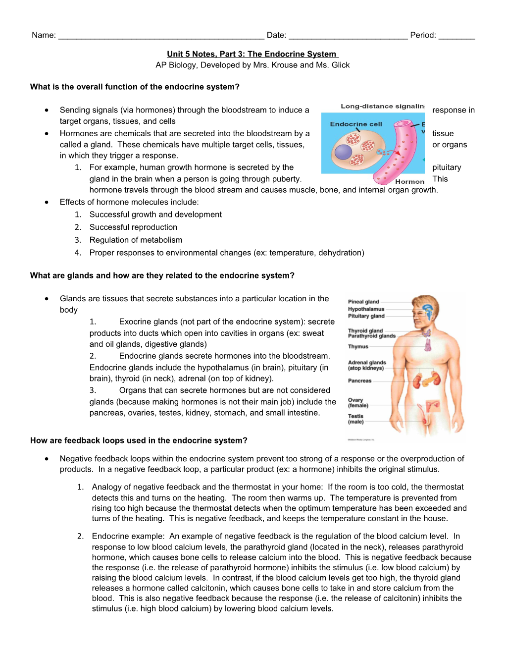 Unit 5 Notes, Part 3: the Endocrine System