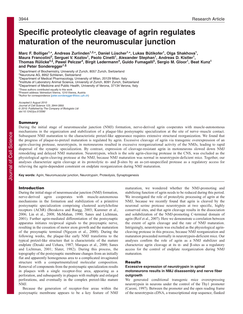 Specific Proteolytic Cleavage of Agrin Regulates Maturation of the Neuromuscular Junction