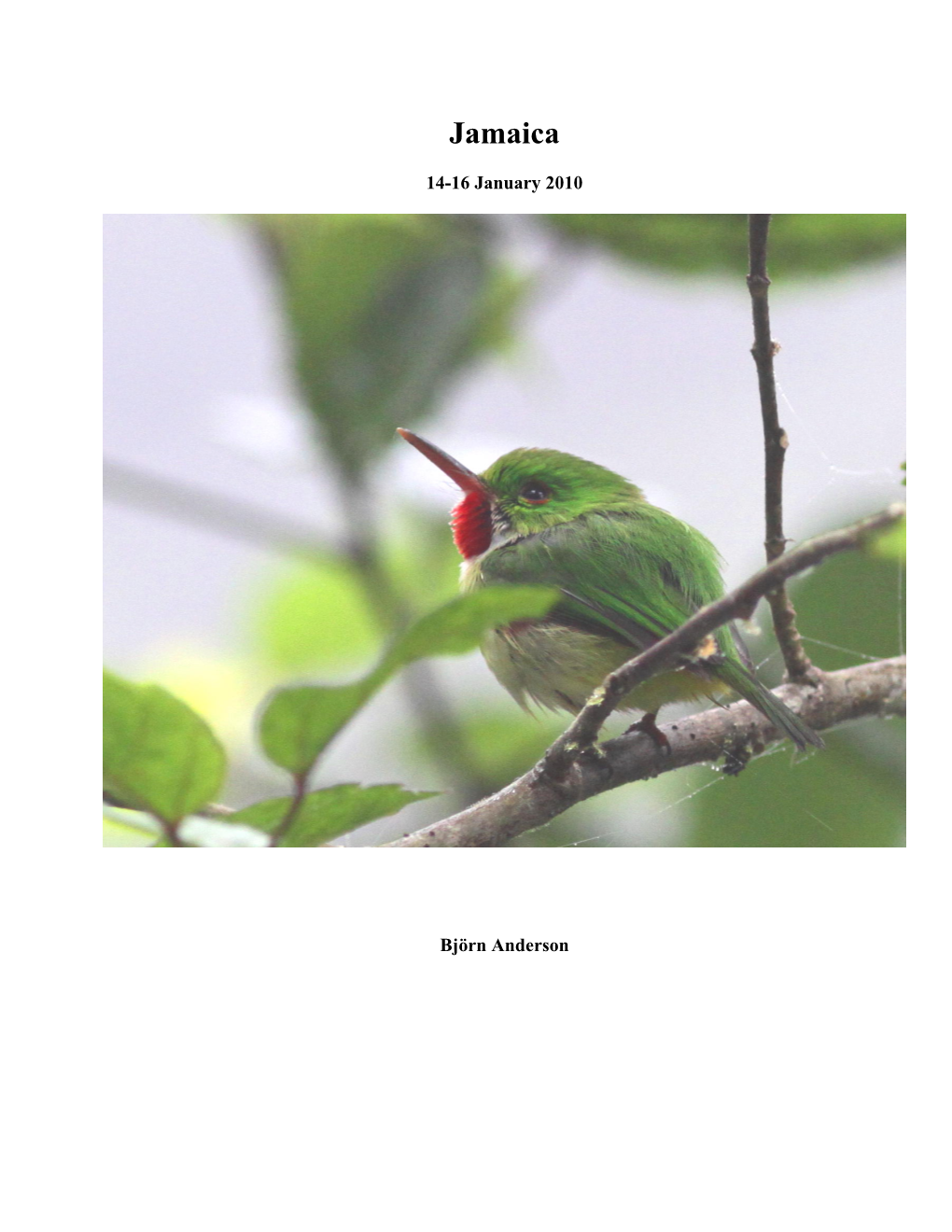 China Birding Report Template