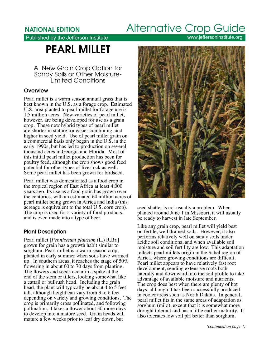 PEARL MILLET Alternative Crop Guide