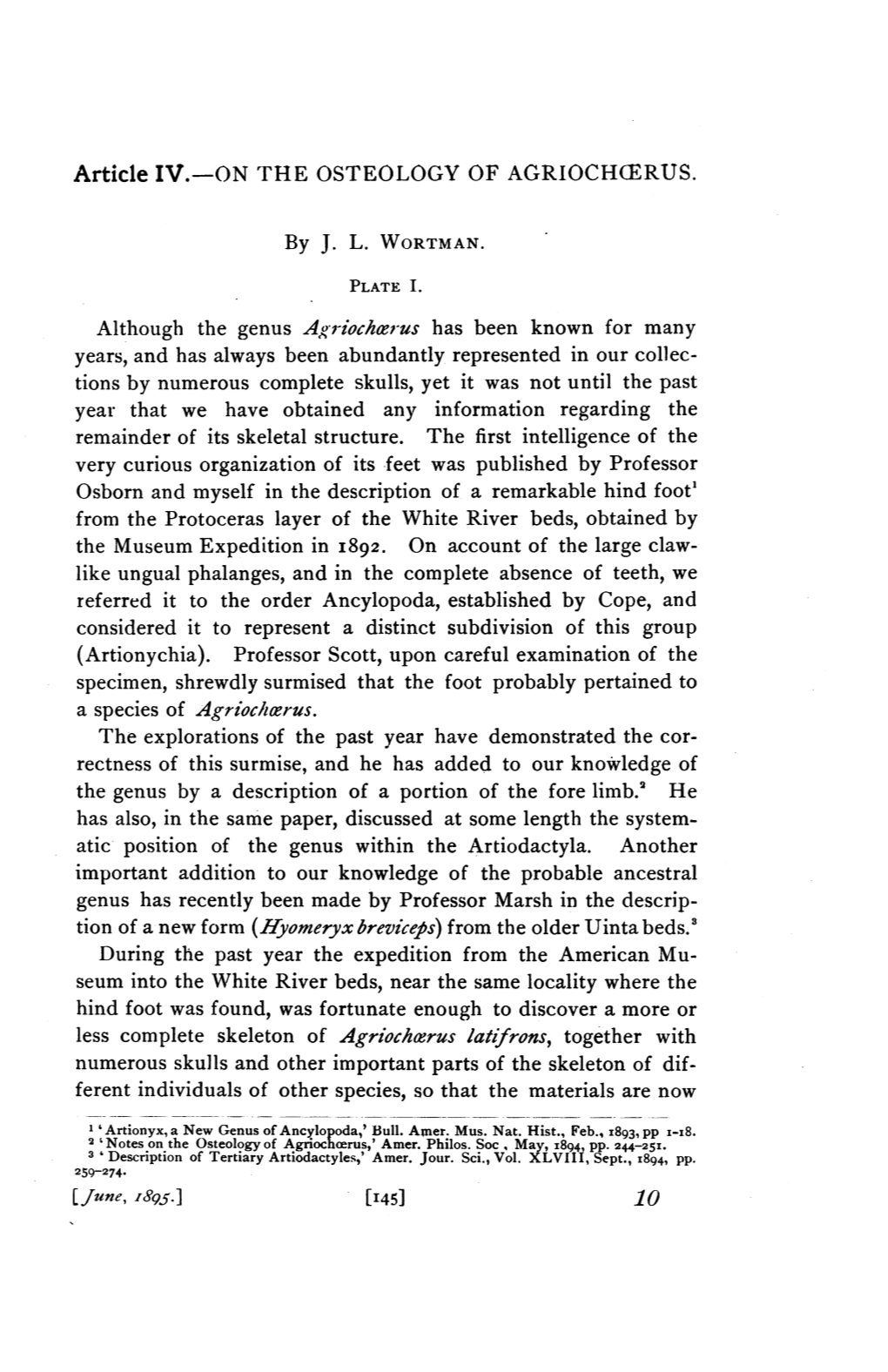 [June, 1895.] [I45] 10 146 Bulletin American Museum of Natural History
