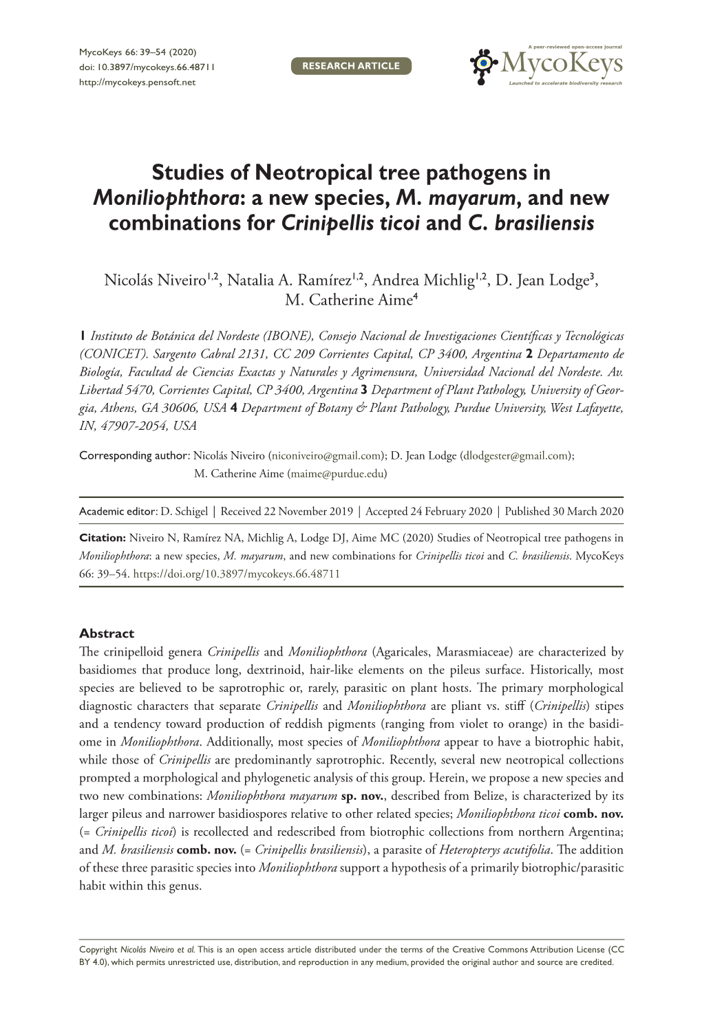 Studies of Neotropical Tree Pathogens in Moniliophthora: a New Species, M. Mayarum, and New Combinations for Crinipellis Ticoi and C