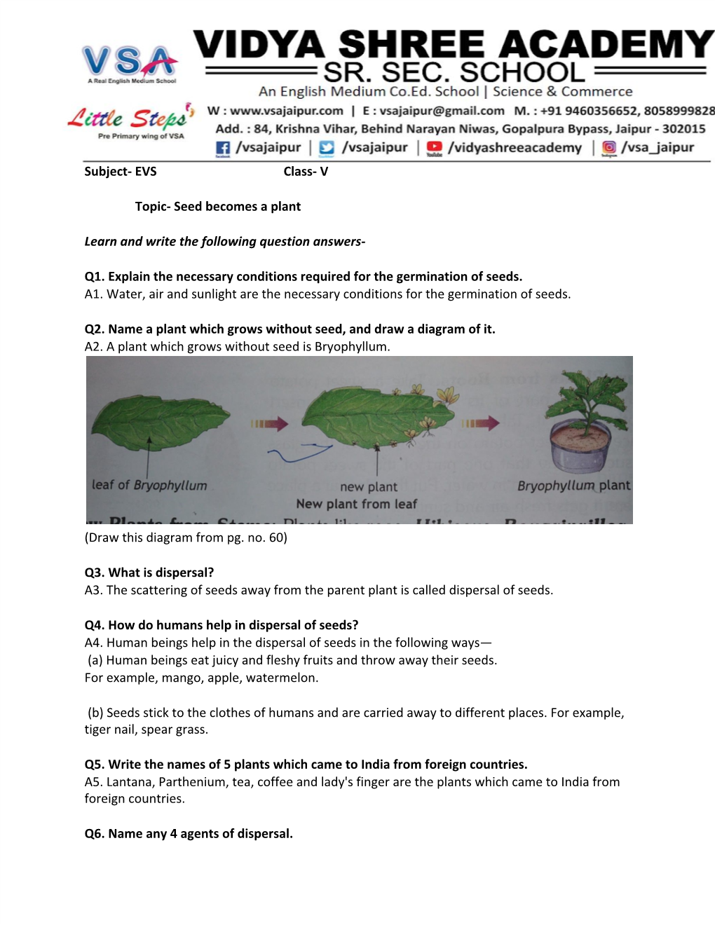 EVS Class- V Topic- Seed Becomes a Plant Learn and Write the Following