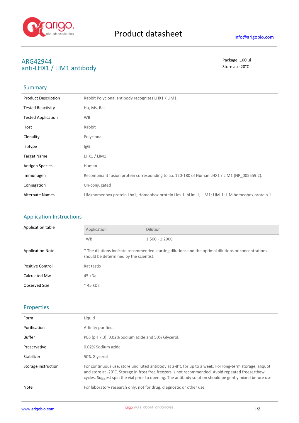 Anti-LHX1 / LIM1 Antibody (ARG42944)