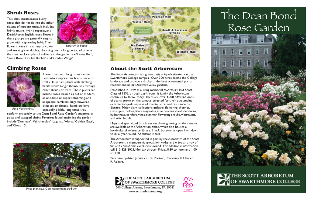 The Dean Bond Rose Garden’S Supports of Hydrangeas, Conifers, Vines, Summer Flowering Shrubs, Viburnums, Posts and Swagged Chains