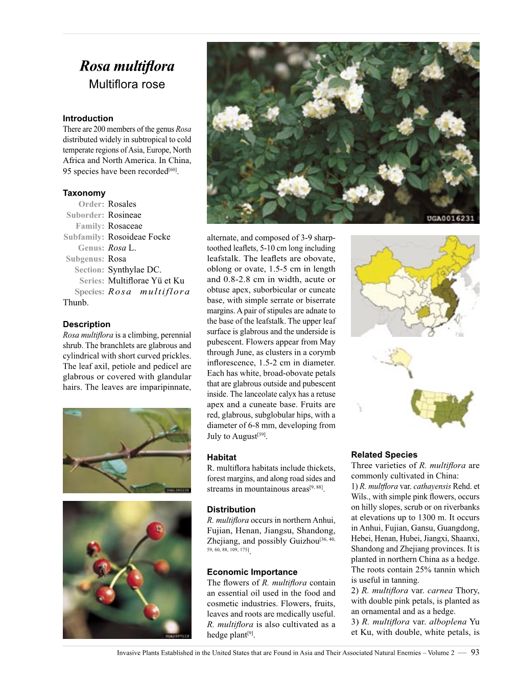 Invasive Plants Established in the United States That Are Found In