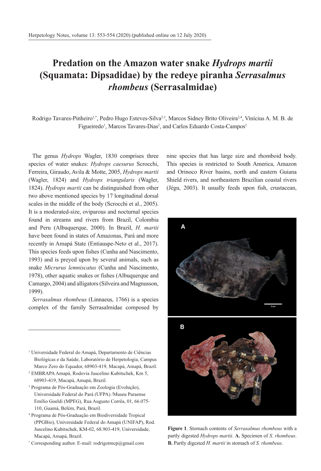 Predation on the Amazon Water Snake Hydrops Martii (Squamata: Dipsadidae) by the Redeye Piranha Serrasalmus Rhombeus (Serrasalmidae)