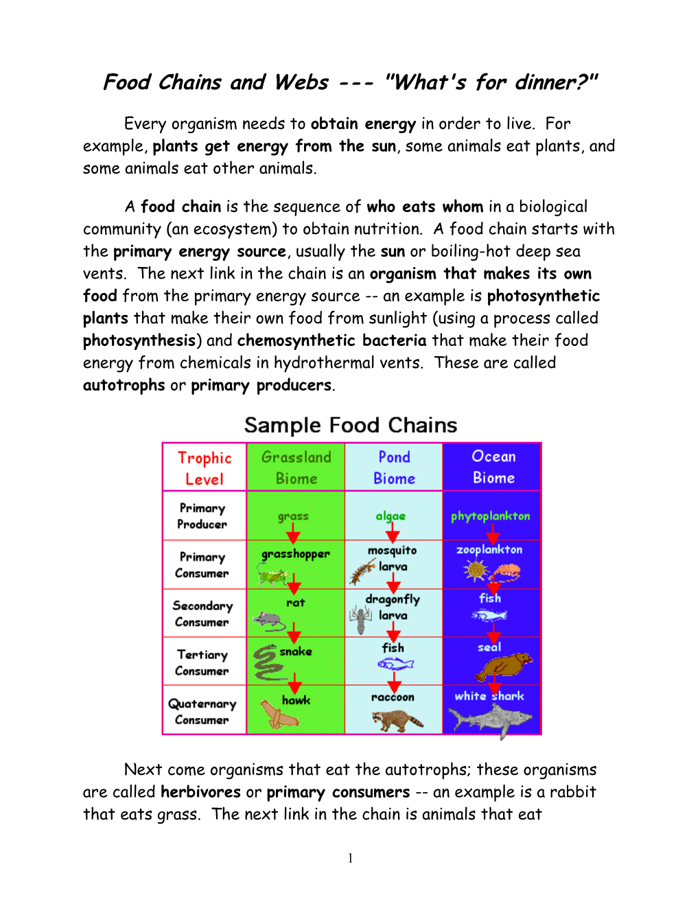 Food Chains and Webs