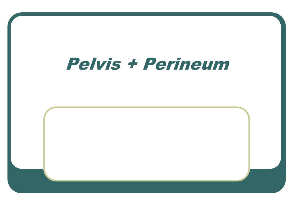 Pelvis + Perineum Pelvic Cavity