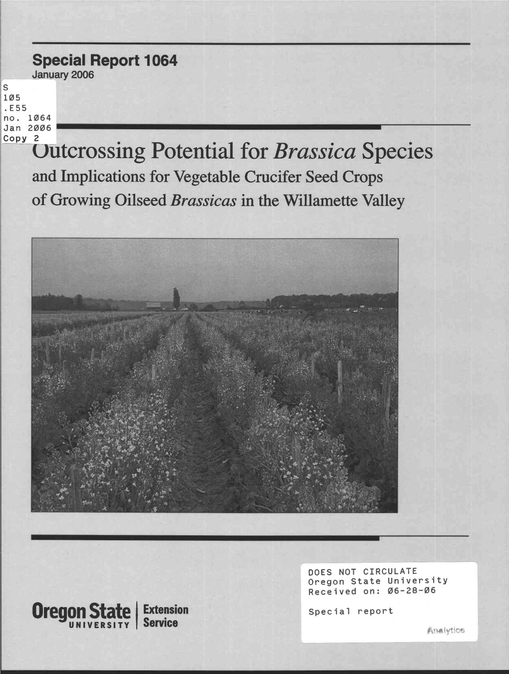 Brassica Species and Implications for Vegetable Crucifer Seed Crops of Growing Oilseed Brassicas in the Willamette Valley