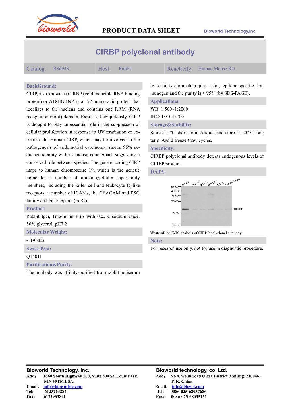 CIRBP Polyclonal Antibody