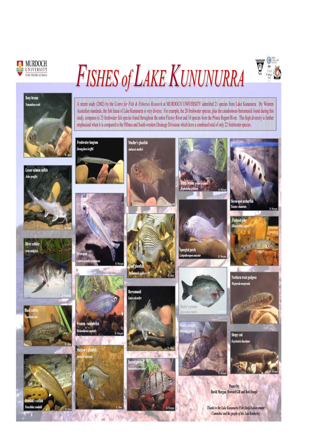 FISHES of LAKE KUNUNURRA