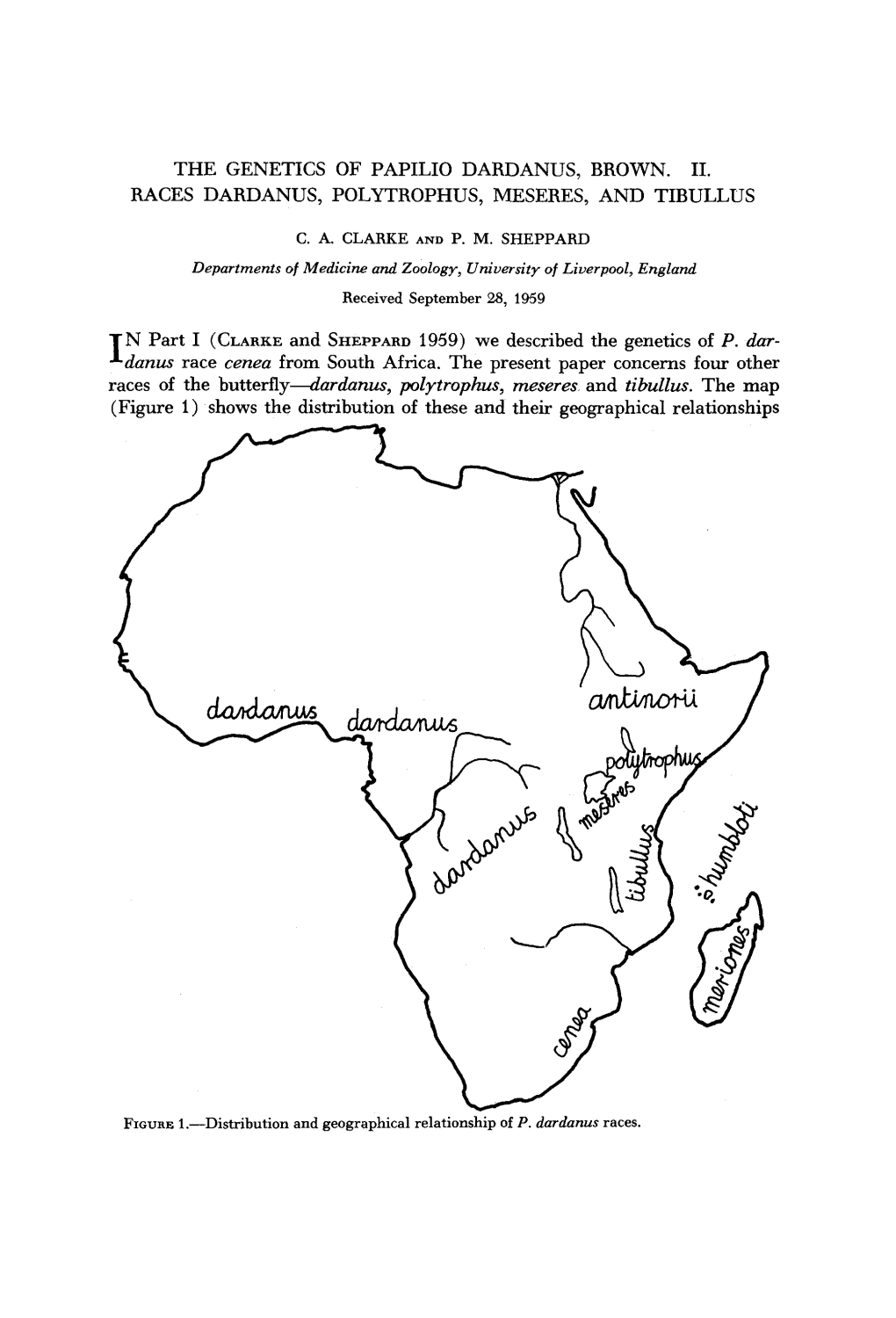 The Genetics of Papilio Dardanus, Brown. 11. Races Dardanus, Polytrophus, Meseres, and Tibullus