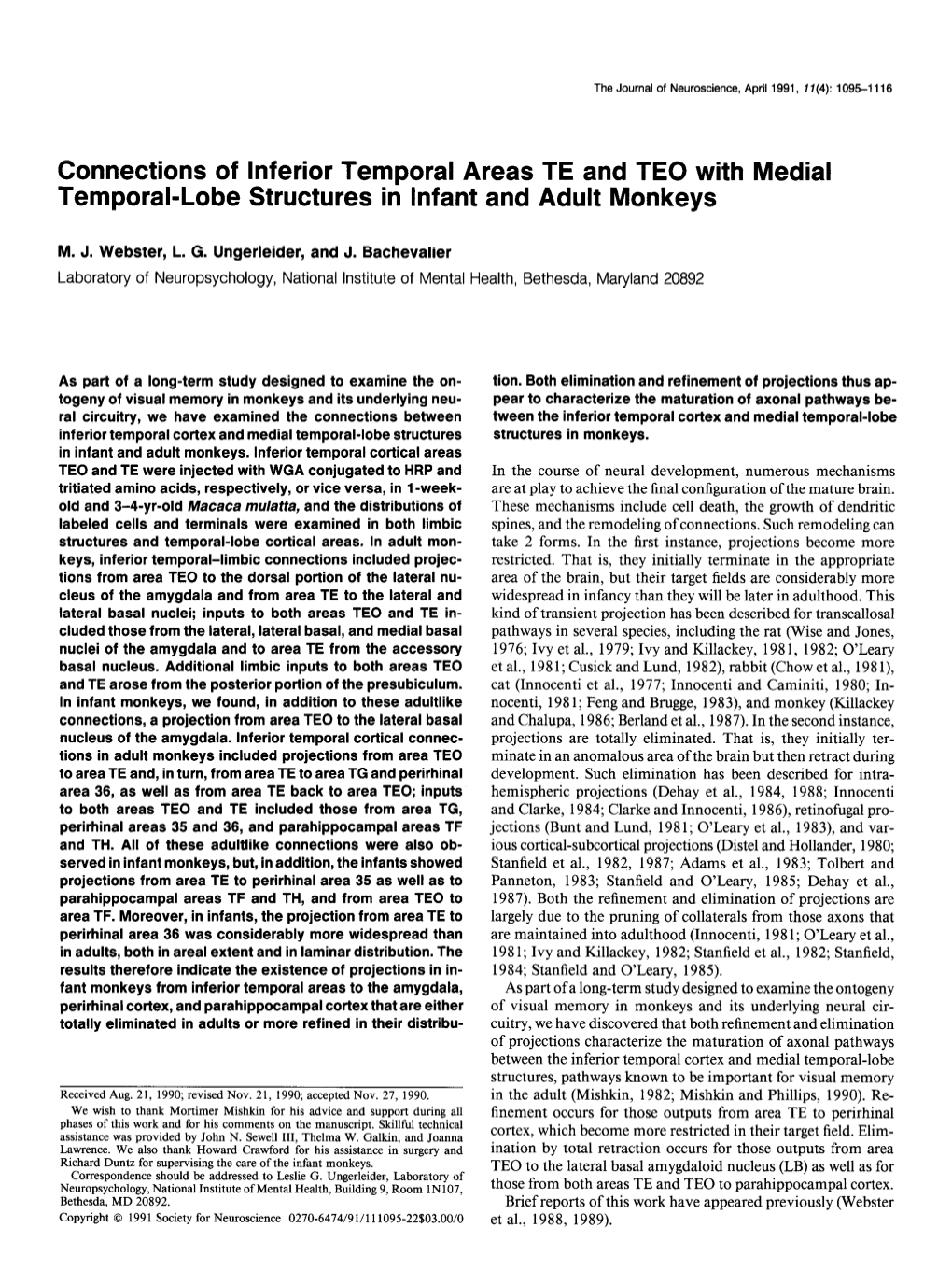 Connections of Inferior Temporal Areas TE and TEO with Medial Temporal-Lobe Structures in Infant and Adult Monkeys