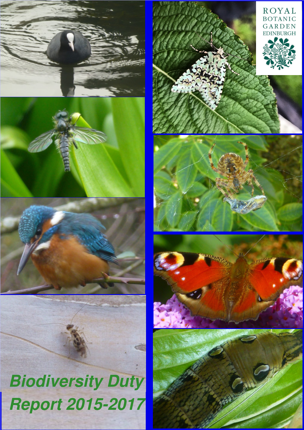 Biodiversity Duty Report 2015-2017